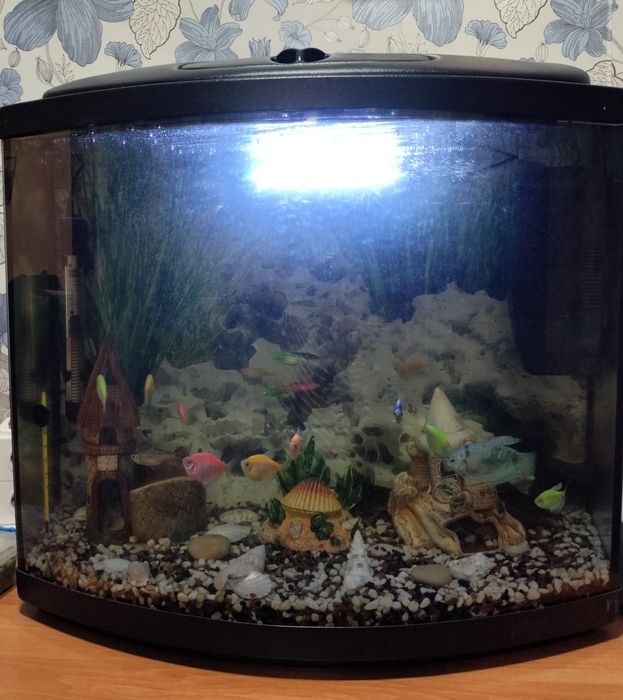 Продам  аквариум