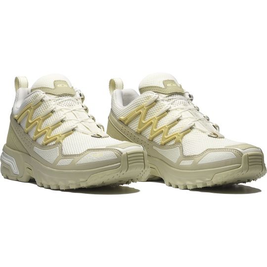 acs+seasonal Salomon