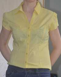Żółta koszula Dorothy Perkins rozm.40