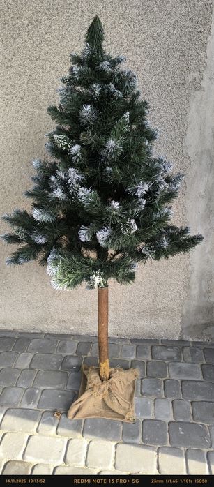 Choinka na pniu 160cm