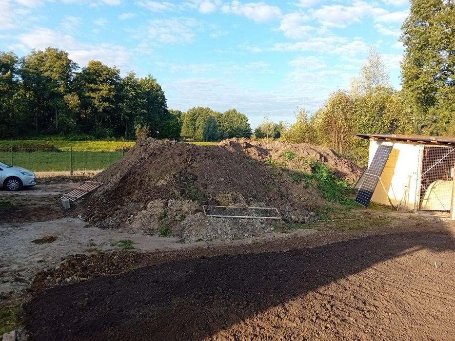 Oddam ziemię za darmo