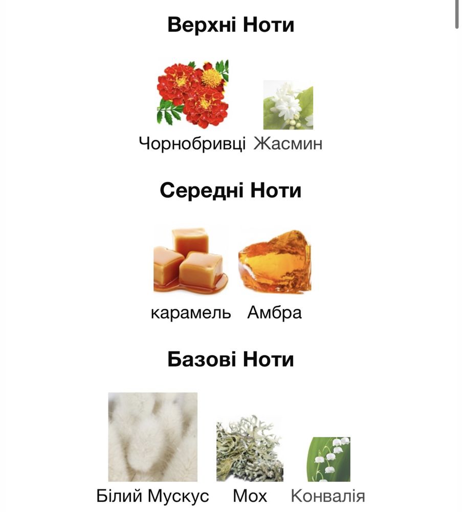 Парфумована вода Attar Collection Floral Musk 100мл.(Premium)