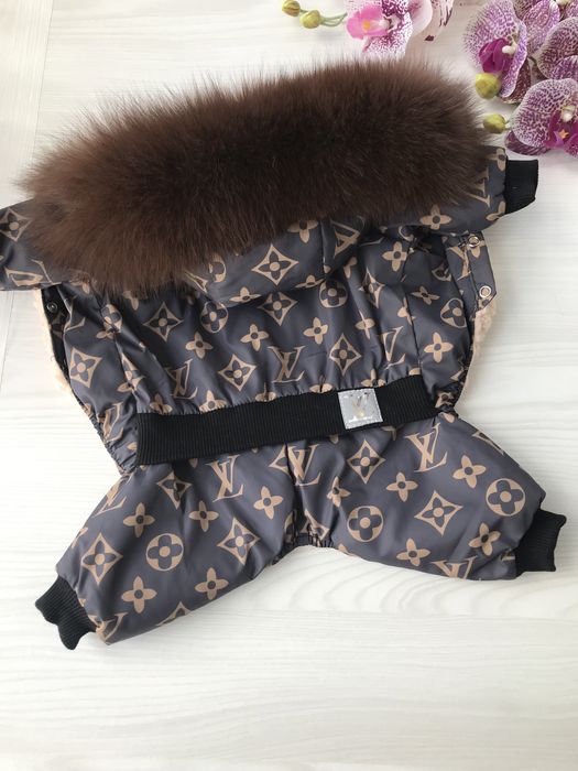 Одежда для собак