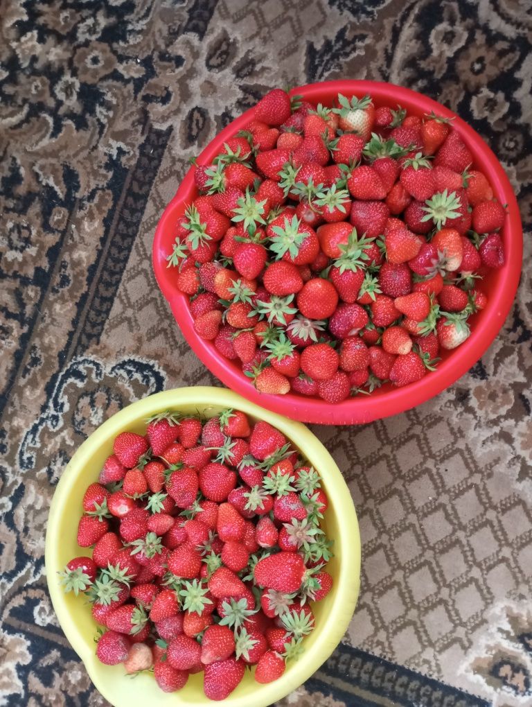 Продам.  полуницю