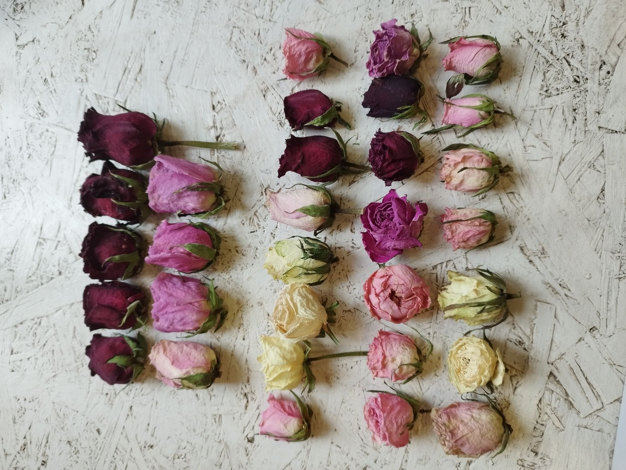 Сухоцветы роз, засушенные розы