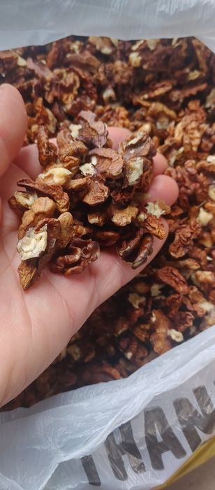 Ядро грецкого горіха 2025 рік