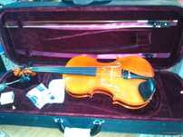Viola darco Strunal 3/60 15.5" 39cm 4/4 Nova