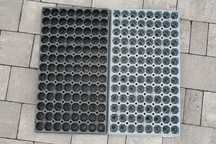 Dodniczkopaleta Wielodoniczka MULTIPLATY 104 - 30 sztuk