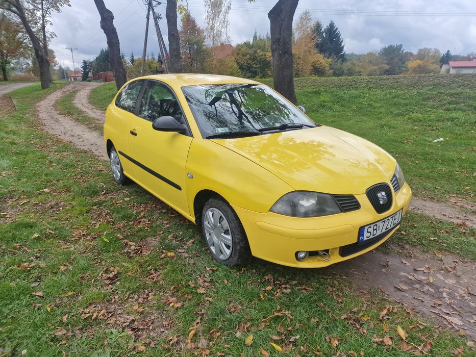 Seat Ibiza 1.4 2004r
