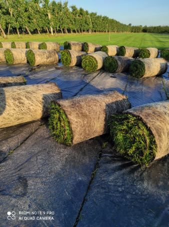 Trawa z rolki  z folii darń trawnik