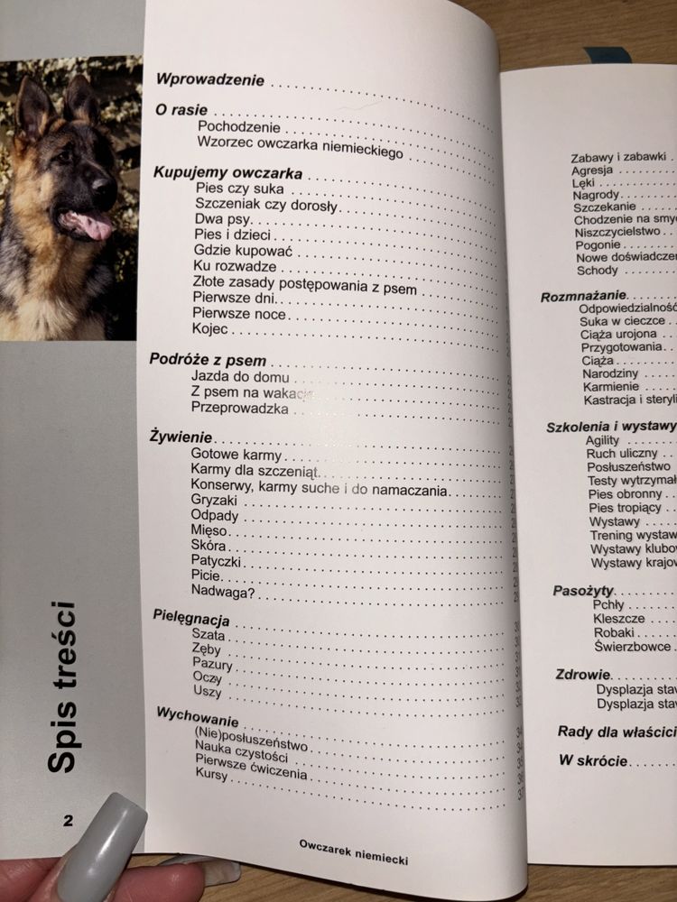 Poradnik jak zajmować sie owczarkiem niemieckim
