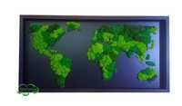 Mapa Świata w RAMIE Chrobotek reniferowy - mech