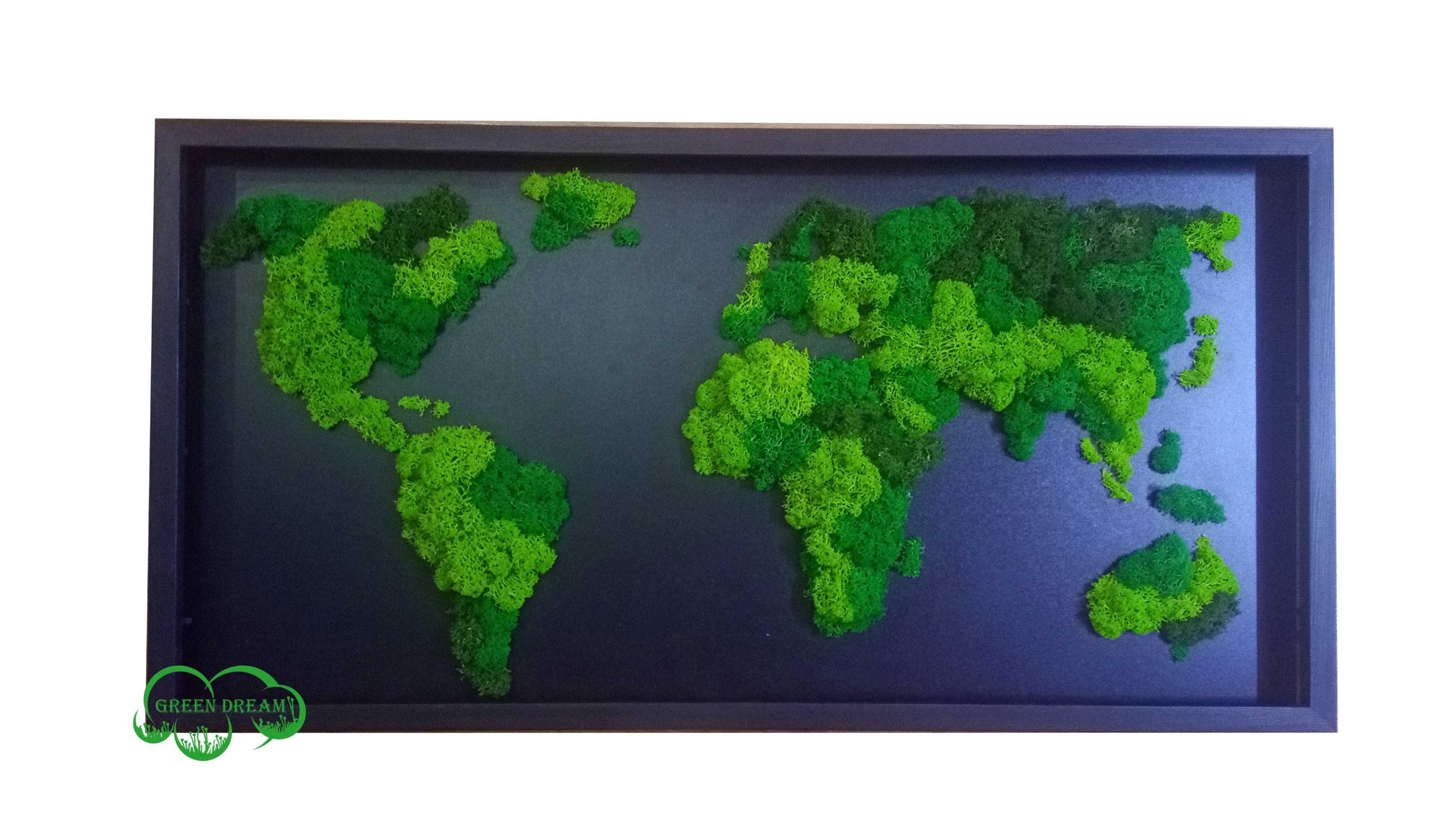 Mapa Świata w RAMIE Chrobotek reniferowy - mech