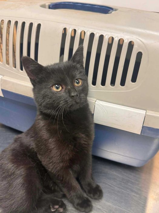 Malutka kotka szuka swojego miejsca na ziemi