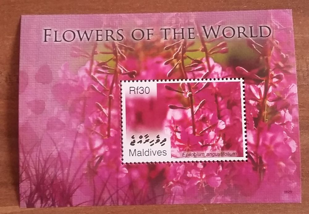 Znaczki pocztowe - Malediwy - kwiaty,wierzbownica