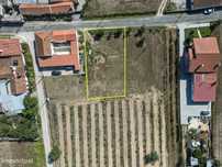 Terreno com Viabilidade de Construção
