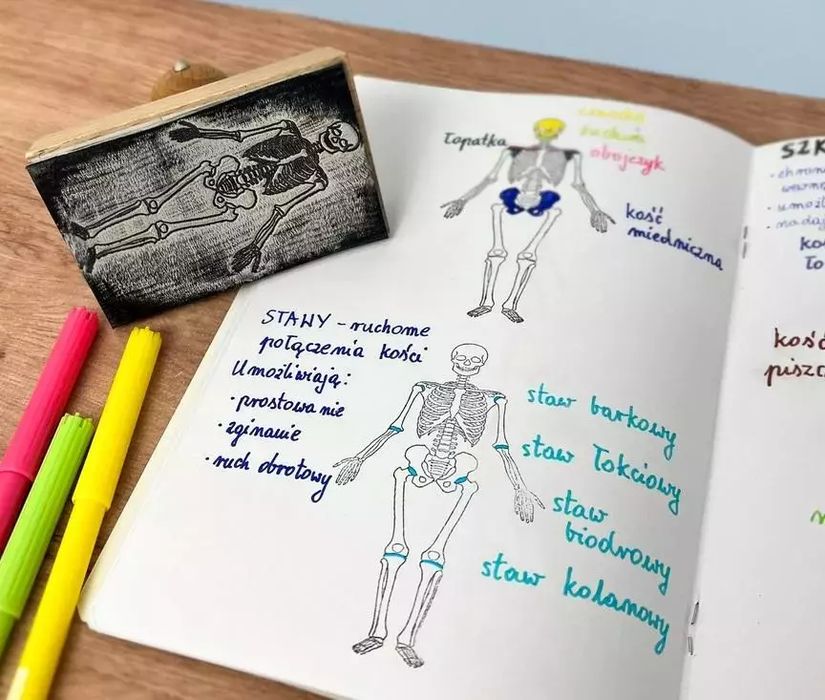 Stempel szkielet człowieka - przód. Colorado