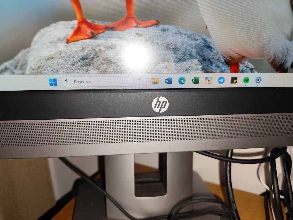 Monitor HP E240C