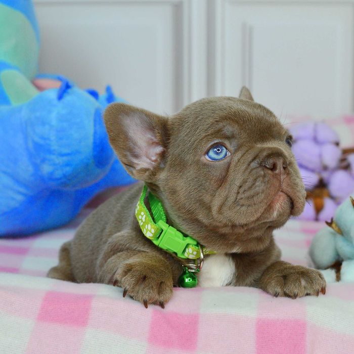 Чарівні малюки у пошуках люблячих родин!!!