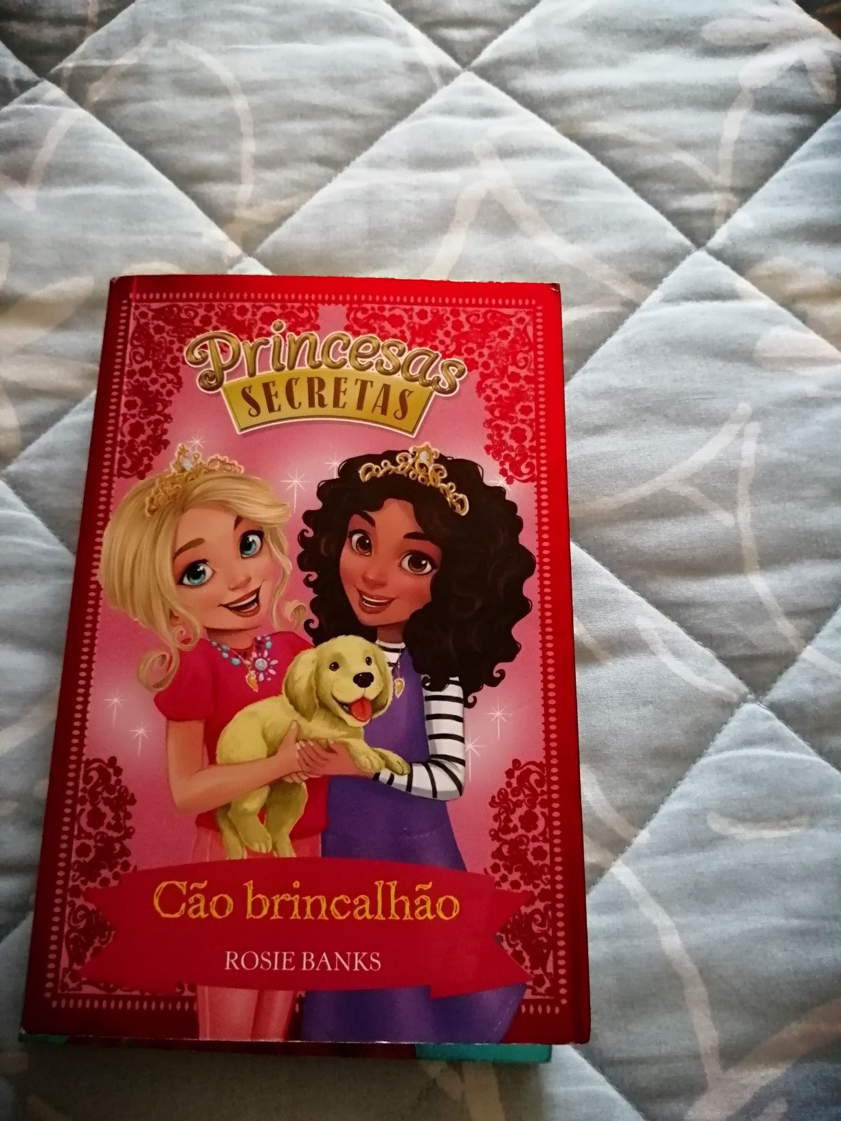 Dois livros de colecção princesas