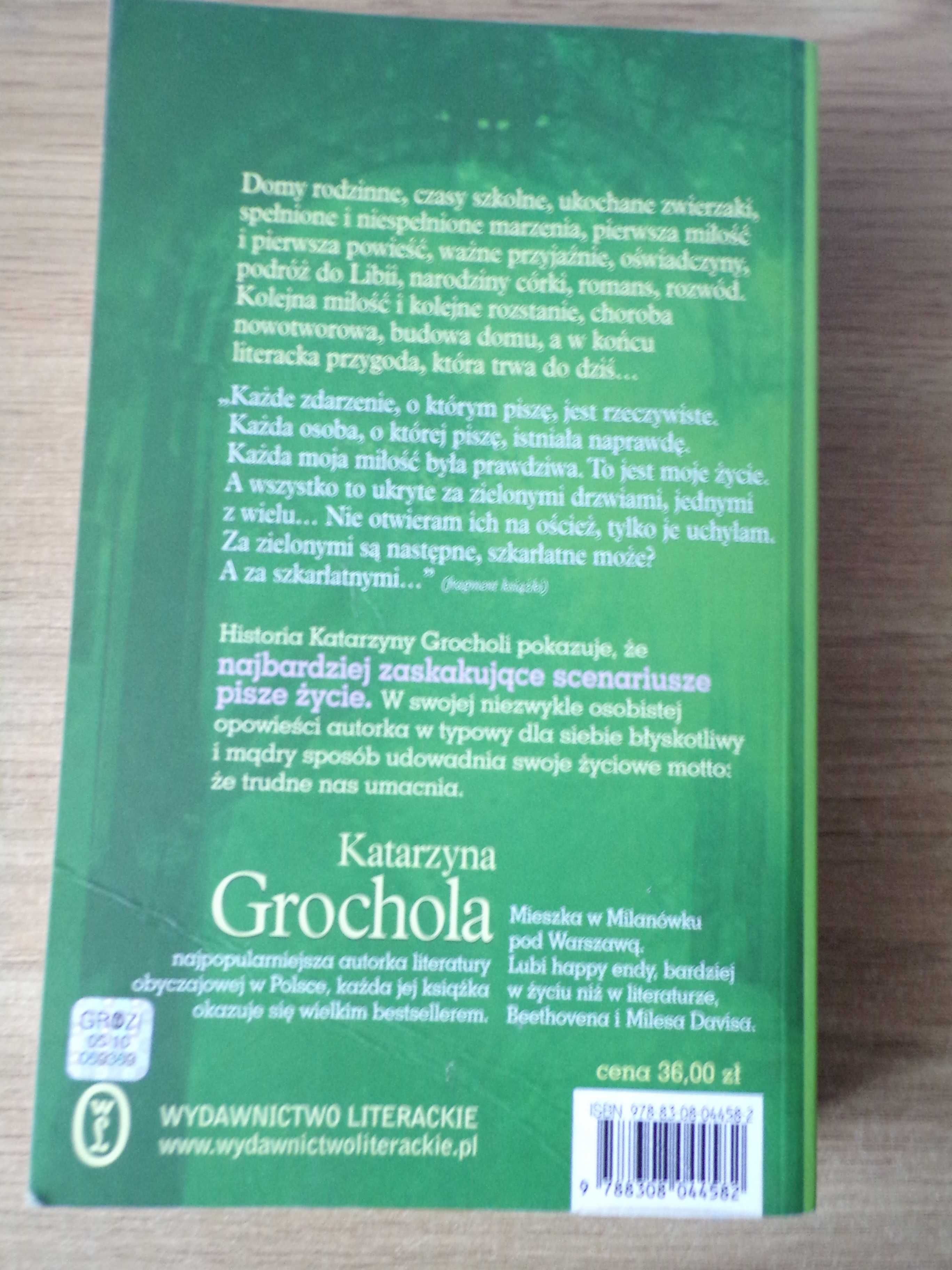 Zielone drzwi - Katarzyna Grochola