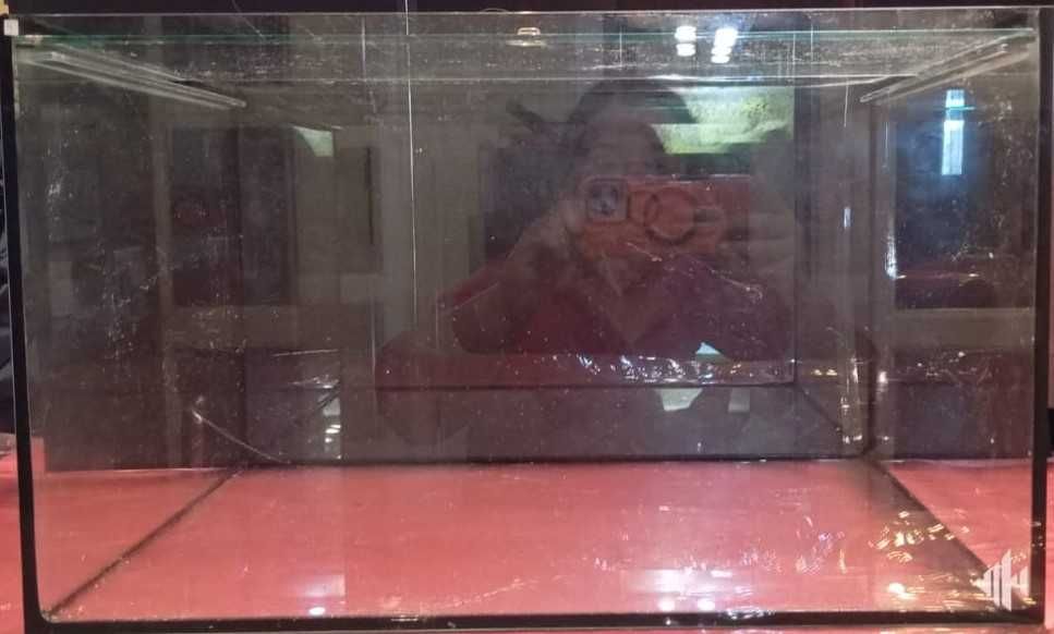 Aquários com tampa Scalare