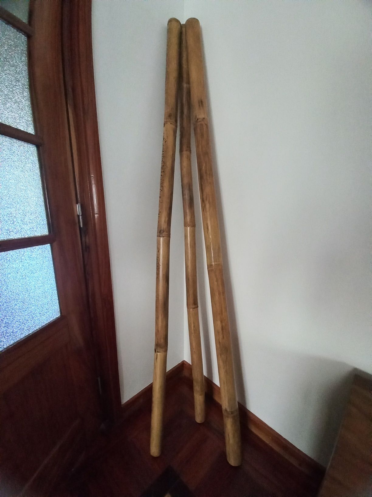 3 bambus decorativos