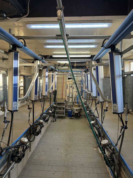 Hala udojowa DeLaval MP400 2x6, 30° – kompletna, gotowa do pracy