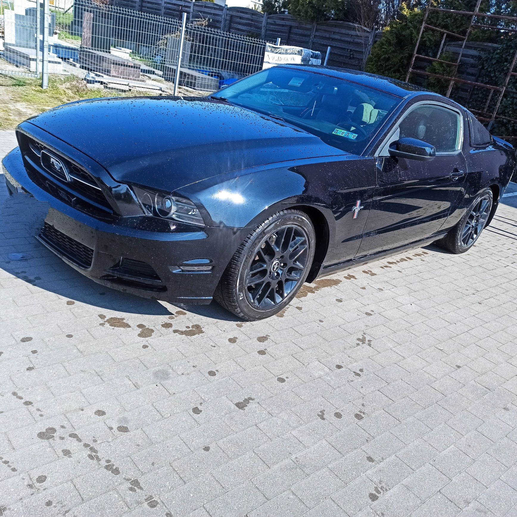 Ford Mustang 2013premium lpg