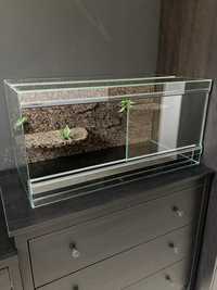 Terrarium 80x40x40