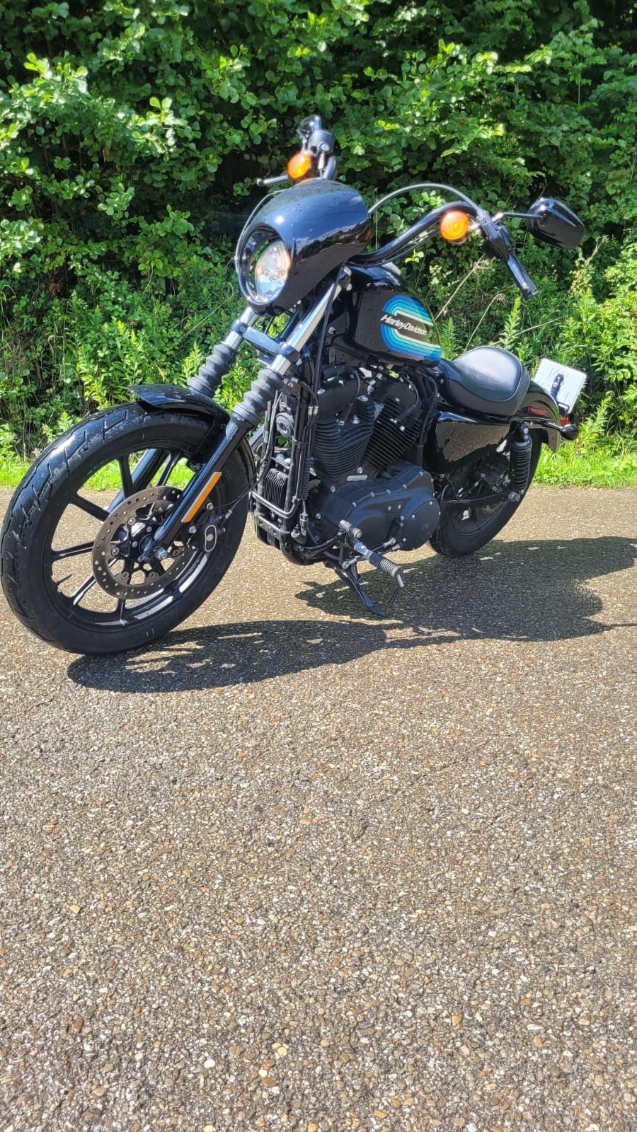 Harley - Davidson FXE
