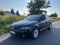 Audi A3 8p 2.0TDI