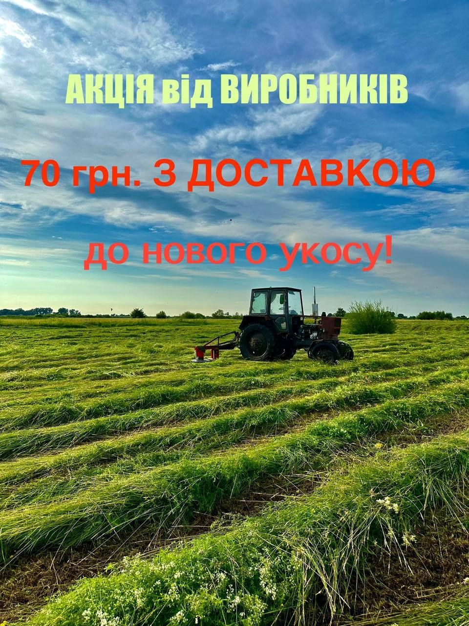 Сіно(сено) в тюк. СУПЕР АКЦІЯ (опт.70грн.з доставкою) до нового укосу