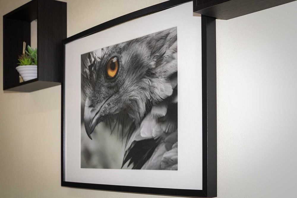 Telas fotográficas de natureza para decoração (várias dimensões)