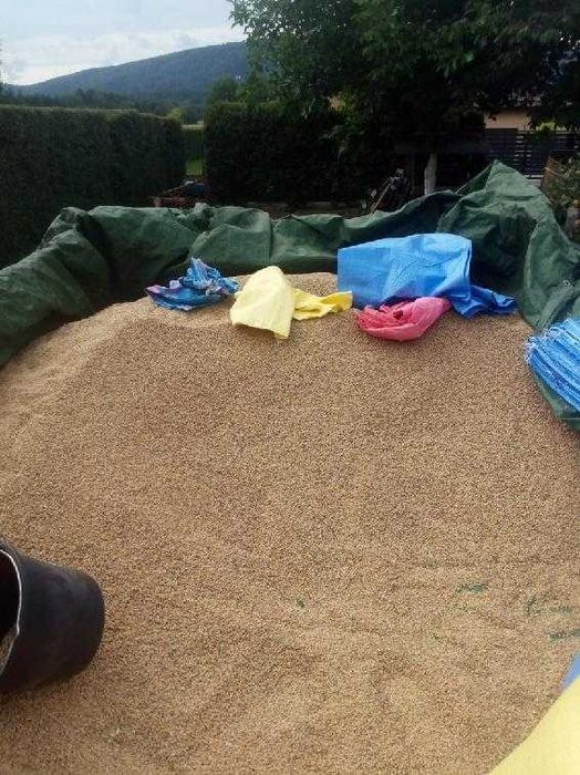 Pszenica workowania 25 kg