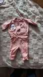 Dres coccodrillo 56