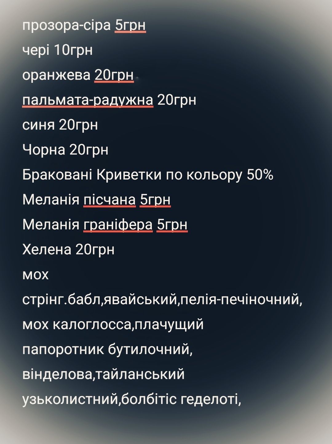 Креветки сині чорні