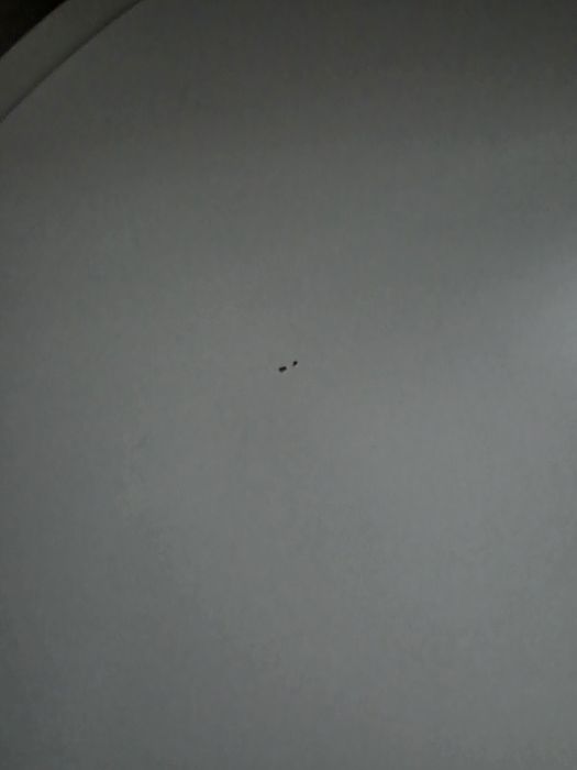 Okrągły stolik dzienny