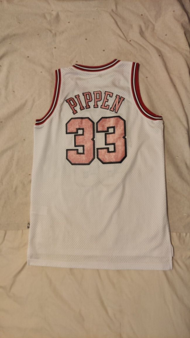 Camisola Retro Clássico NBA Pippen Chicago Bulls adidas

Hardwood Clas