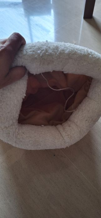 Brinquedo para gatos