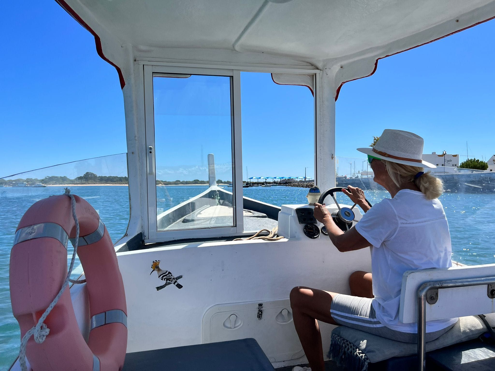 Barco Traditional Fibra