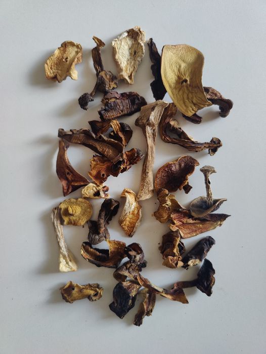 Suszone grzyby mieszanka 1kg