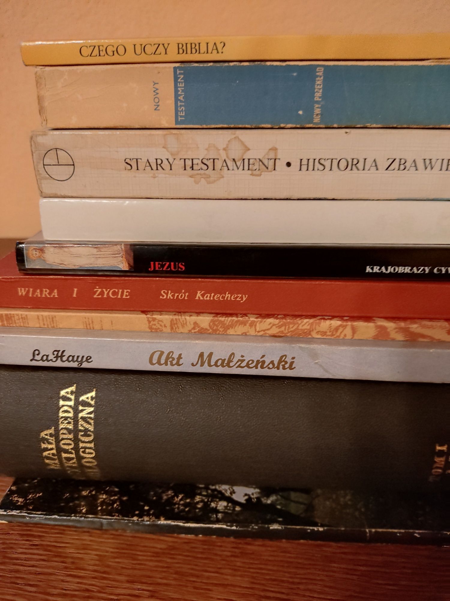 Mała Encyklopedia Teologiczna + inne