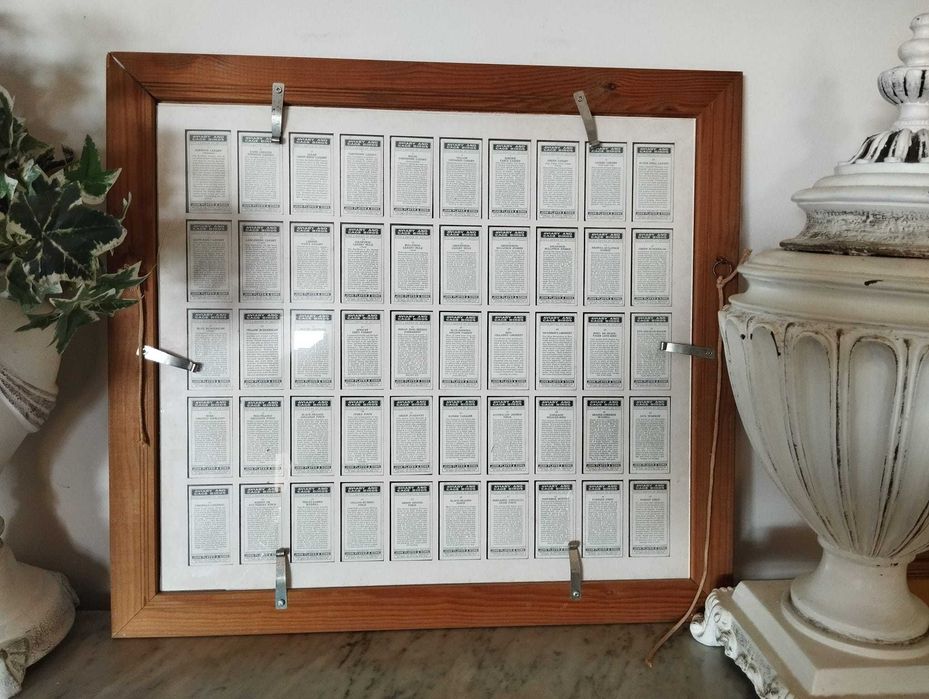 Quadro Pássaros - Colecção 50 Cartões Cigarros