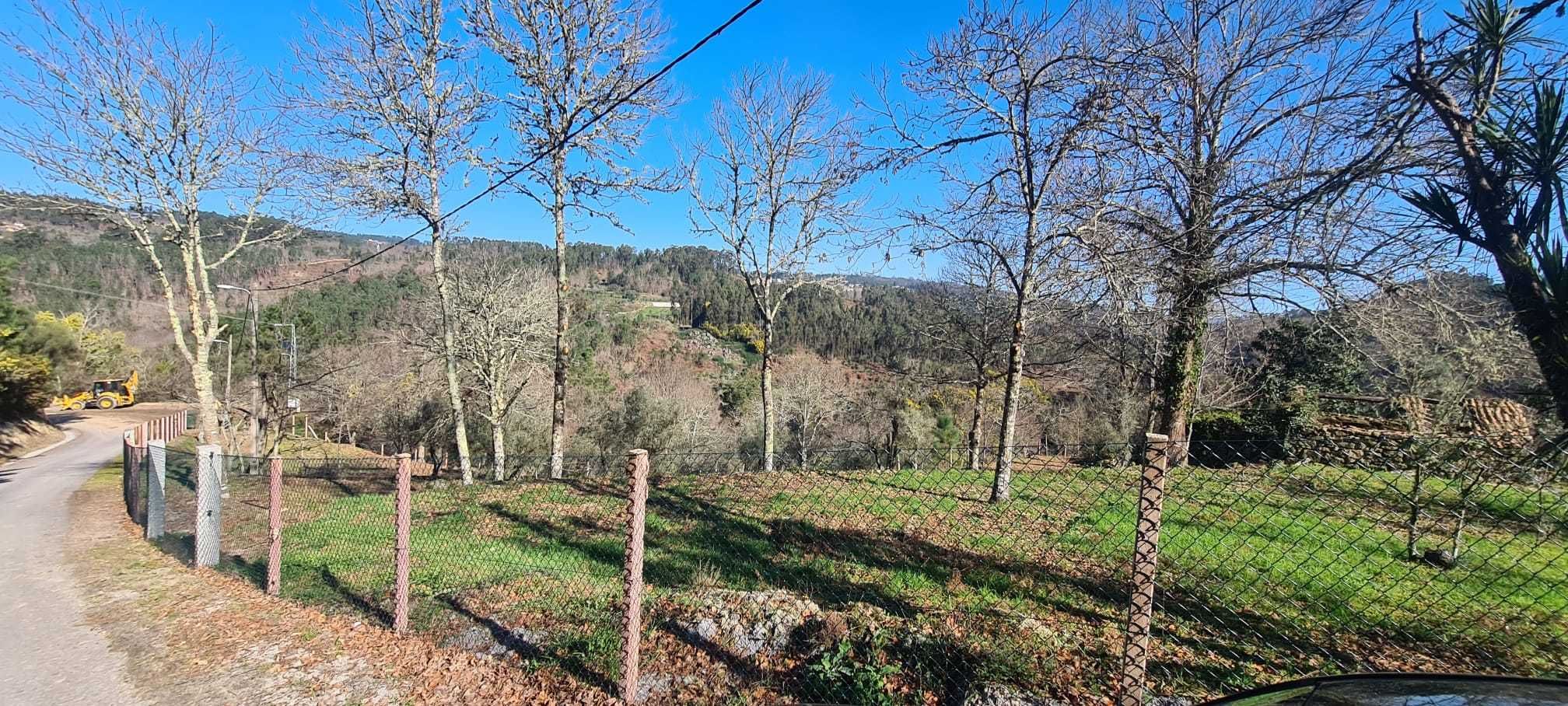 Quinta com 3.000 m2, com Ruínas em Pedra para Restaurar e Pomar