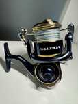 Daiwa Saltiga 10000-P/14000-P