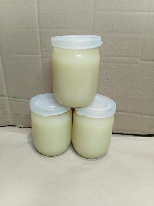 Борсуковий жир 0,5 л 800 грн