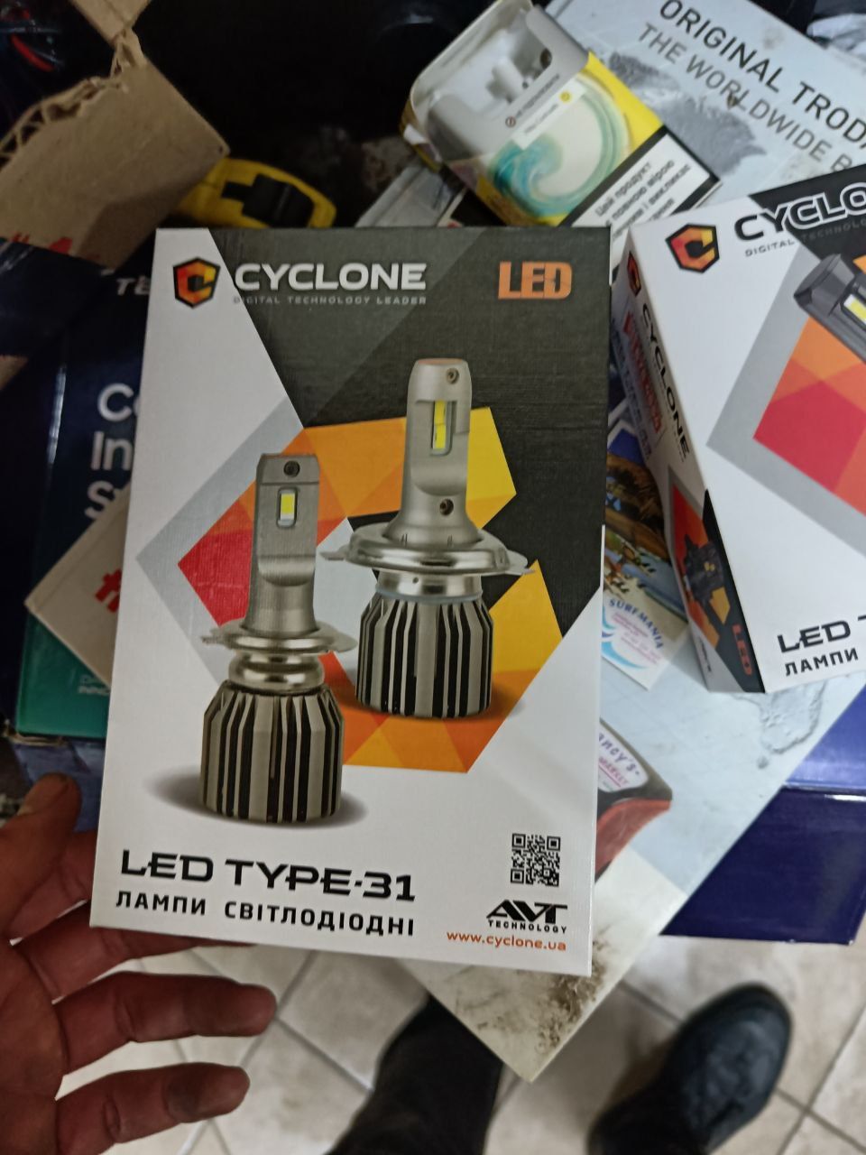 Светодиодные лампы LED TYPE-31 H7