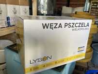 Węza wielkopolska 5kg
