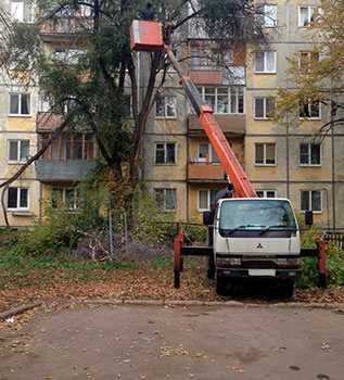 Спил деревьев частями Профессиональный  Обрезка сада по правилам